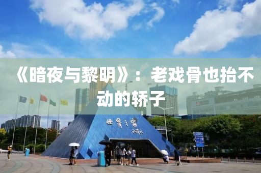 《暗夜與黎明》：老戲骨也抬不動的轎子
