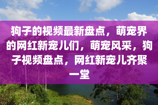 狗子的視頻最新盤點(diǎn)，萌寵界的網(wǎng)紅新寵兒們，萌寵風(fēng)采，狗子視頻盤點(diǎn)，網(wǎng)紅新寵兒齊聚一堂