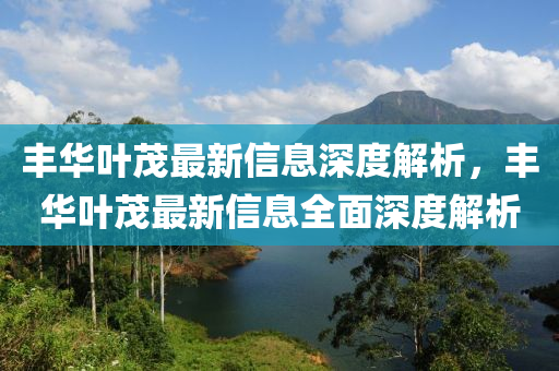 豐華葉茂最新信息深度解析，豐華葉茂最新信息全面深度解析
