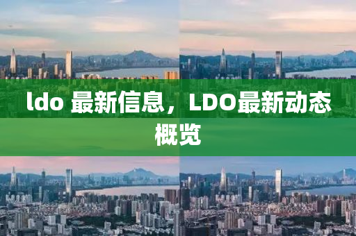 ldo 最新信息，LDO最新動(dòng)態(tài)概覽