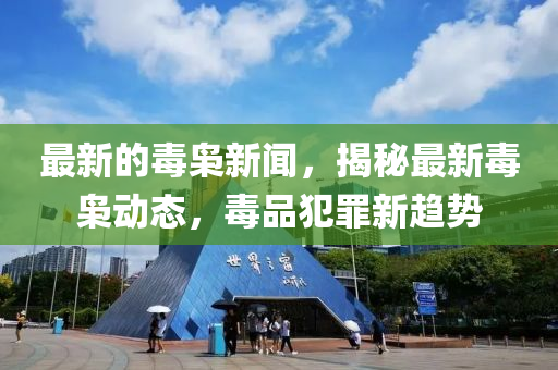 最新的毒梟新聞，揭秘最新毒梟動態(tài)，毒品犯罪新趨勢