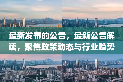 最新發(fā)布的公告，最新公告解讀，聚焦政策動態(tài)與行業(yè)趨勢
