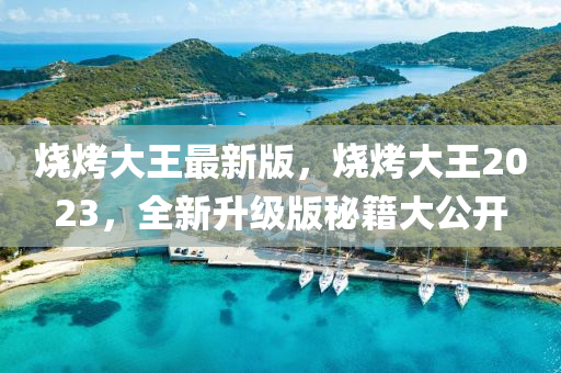 燒烤大王最新版，燒烤大王2023，全新升級版秘籍大公開