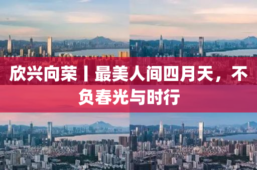 欣興向榮丨最美人間四月天，不負(fù)春光與時(shí)行
