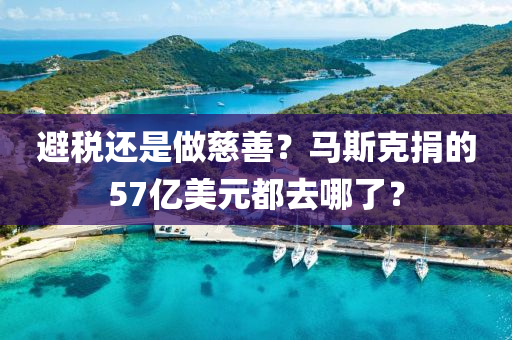 避稅還是做慈善？馬斯克捐的57億美元都去哪了？