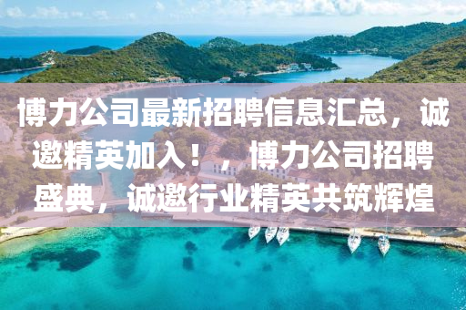 博力公司最新招聘信息匯總，誠邀精英加入！，博力公司招聘盛典，誠邀行業(yè)精英共筑輝煌