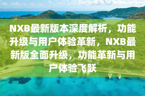 NXB最新版本深度解析，功能升級與用戶體驗(yàn)革新，NXB最新版全面升級，功能革新與用戶體驗(yàn)飛躍