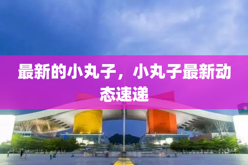 最新的小丸子，小丸子最新動態(tài)速遞