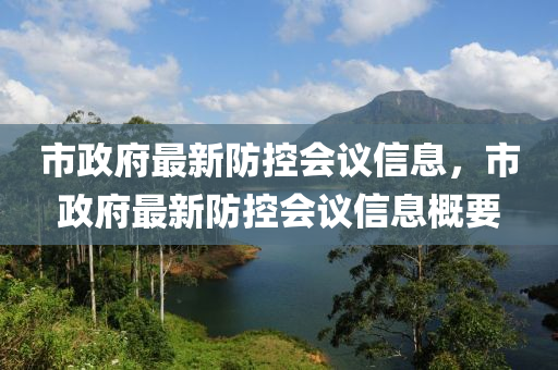 市政府最新防控會議信息，市政府最新防控會議信息概要