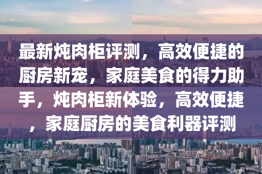 最新燉肉柜評(píng)測(cè)，高效便捷的廚房新寵，家庭美食的得力助手，燉肉柜新體驗(yàn)，高效便捷，家庭廚房的美食利器評(píng)測(cè)