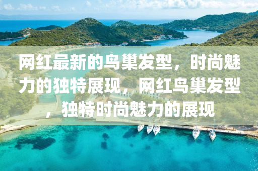 網(wǎng)紅最新的鳥(niǎo)巢發(fā)型，時(shí)尚魅力的獨(dú)特展現(xiàn)，網(wǎng)紅鳥(niǎo)巢發(fā)型，獨(dú)特時(shí)尚魅力的展現(xiàn)