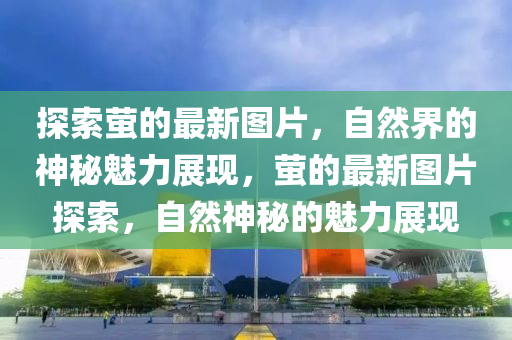探索螢的最新圖片，自然界的神秘魅力展現(xiàn)，螢的最新圖片探索，自然神秘的魅力展現(xiàn)