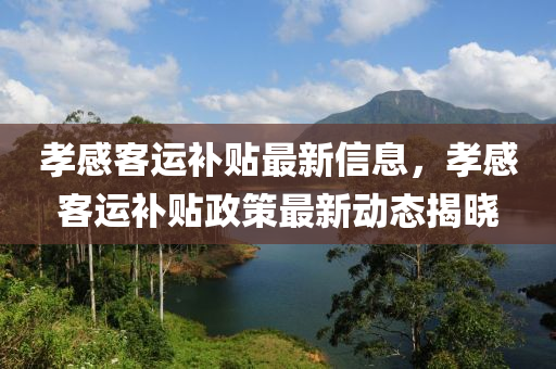 孝感客運(yùn)補(bǔ)貼最新信息，孝感客運(yùn)補(bǔ)貼政策最新動(dòng)態(tài)揭曉