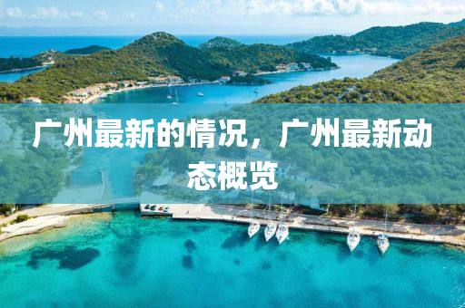 廣州最新的情況，廣州最新動態(tài)概覽