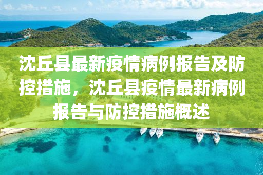 沈丘縣最新疫情病例報告及防控措施，沈丘縣疫情最新病例報告與防控措施概述