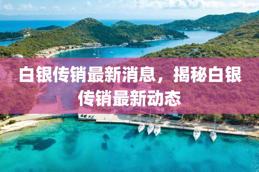 白銀傳銷最新消息，揭秘白銀傳銷最新動態(tài)
