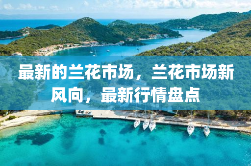 最新的蘭花市場，蘭花市場新風(fēng)向，最新行情盤點