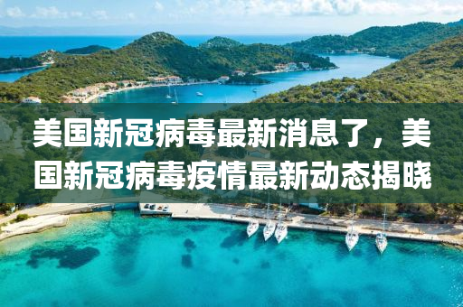 美國新冠病毒最新消息了，美國新冠病毒疫情最新動態(tài)揭曉