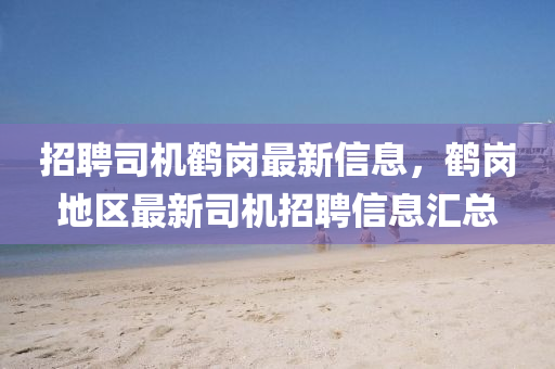 招聘司機鶴崗最新信息，鶴崗地區(qū)最新司機招聘信息匯總