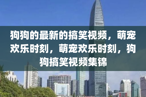 狗狗的最新的搞笑視頻，萌寵歡樂時(shí)刻，萌寵歡樂時(shí)刻，狗狗搞笑視頻集錦