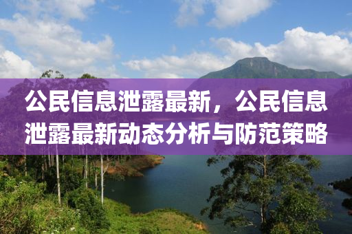 公民信息泄露最新，公民信息泄露最新動(dòng)態(tài)分析與防范策略