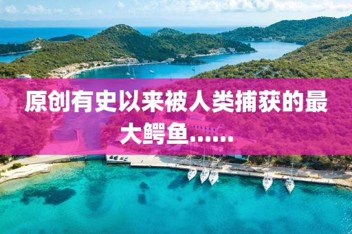 原創(chuàng)有史以來被人類捕獲的最大鱷魚......