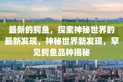 最新的鱷魚，探索神秘世界的最新發(fā)現(xiàn)，神秘世界新發(fā)現(xiàn)，罕見鱷魚品種揭秘