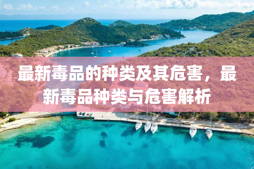 最新毒品的種類及其危害，最新毒品種類與危害解析