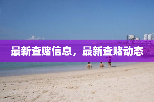 最新查賭信息，最新查賭動態(tài)