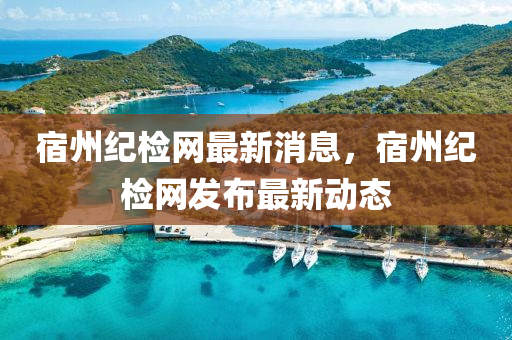 宿州紀(jì)檢網(wǎng)最新消息，宿州紀(jì)檢網(wǎng)發(fā)布最新動(dòng)態(tài)