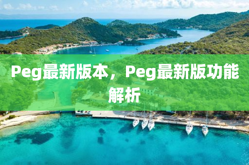 Peg最新版本，Peg最新版功能解析