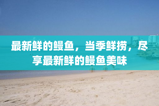 最新鮮的鰻魚，當(dāng)季鮮撈，盡享最新鮮的鰻魚美味