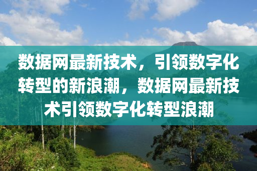 數(shù)據(jù)網(wǎng)最新技術(shù)，引領(lǐng)數(shù)字化轉(zhuǎn)型的新浪潮，數(shù)據(jù)網(wǎng)最新技術(shù)引領(lǐng)數(shù)字化轉(zhuǎn)型浪潮