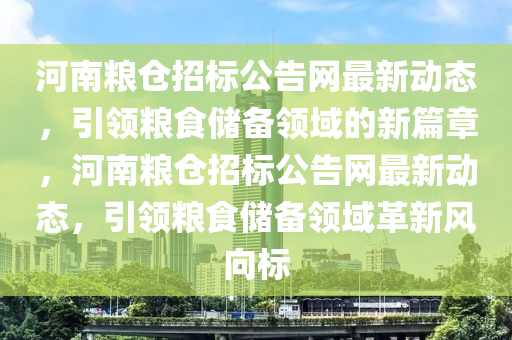 河南糧倉招標(biāo)公告網(wǎng)最新動態(tài)，引領(lǐng)糧食儲備領(lǐng)域的新篇章，河南糧倉招標(biāo)公告網(wǎng)最新動態(tài)，引領(lǐng)糧食儲備領(lǐng)域革新風(fēng)向標(biāo)