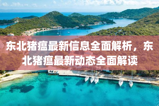 東北豬瘟最新信息全面解析，東北豬瘟最新動態(tài)全面解讀