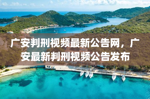 廣安判刑視頻最新公告網(wǎng)，廣安最新判刑視頻公告發(fā)布
