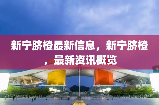 新寧臍橙最新信息，新寧臍橙，最新資訊概覽