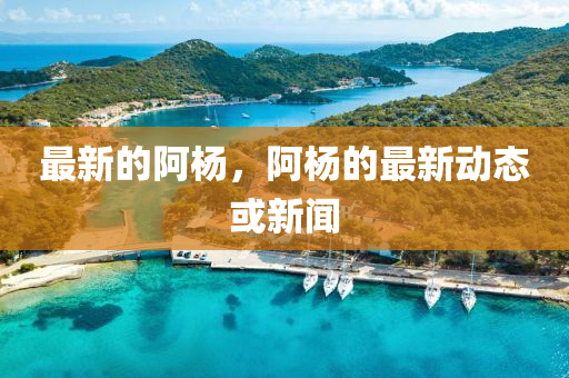 最新的阿楊，阿楊的最新動(dòng)態(tài)或新聞