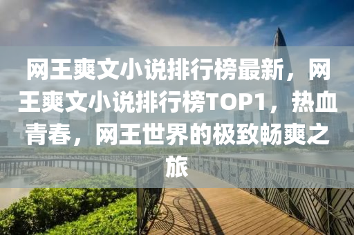 網(wǎng)王爽文小說排行榜最新，網(wǎng)王爽文小說排行榜TOP1，熱血青春，網(wǎng)王世界的極致暢爽之旅