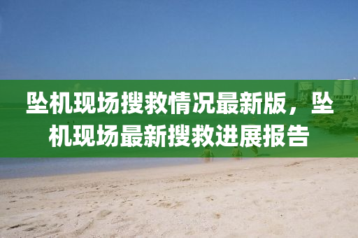 墜機現(xiàn)場搜救情況最新版，墜機現(xiàn)場最新搜救進展報告