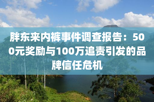 胖東來內(nèi)褲事件調(diào)查報告：500元獎勵與100萬追責(zé)引發(fā)的品牌信任危機