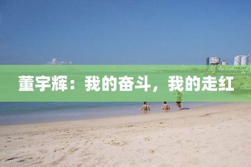 董宇輝：我的奮斗，我的走紅