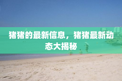 豬豬的最新信息，豬豬最新動態(tài)大揭秘