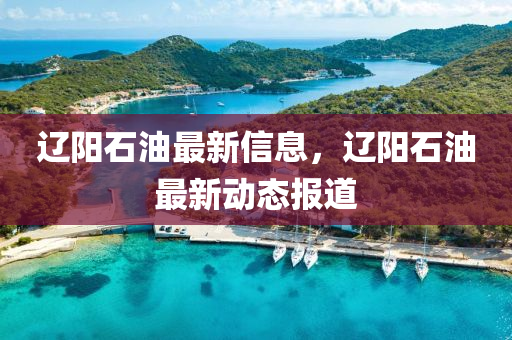 遼陽石油最新信息，遼陽石油最新動態(tài)報道