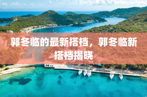郭冬臨的最新搭檔，郭冬臨新搭檔揭曉