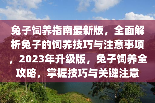 兔子飼養(yǎng)指南最新版，全面解析兔子的飼養(yǎng)技巧與注意事項(xiàng)，2023年升級(jí)版，兔子飼養(yǎng)全攻略，掌握技巧與關(guān)鍵注意