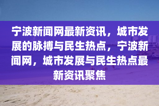 寧波新聞網(wǎng)最新資訊，城市發(fā)展的脈搏與民生熱點，寧波新聞網(wǎng)，城市發(fā)展與民生熱點最新資訊聚焦