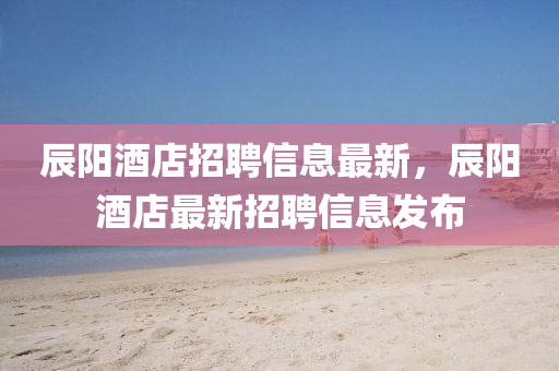 辰陽(yáng)酒店招聘信息最新，辰陽(yáng)酒店最新招聘信息發(fā)布