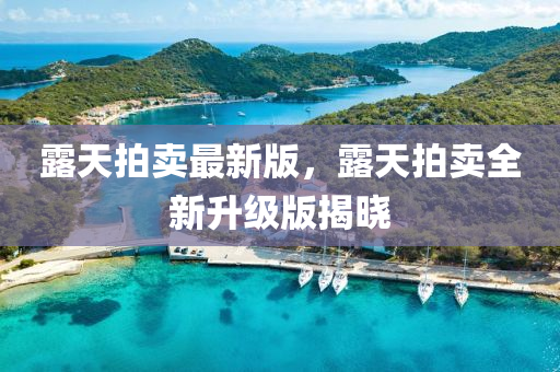 露天拍賣最新版，露天拍賣全新升級版揭曉
