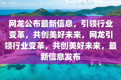 網(wǎng)龍公布最新信息，引領(lǐng)行業(yè)變革，共創(chuàng)美好未來，網(wǎng)龍引領(lǐng)行業(yè)變革，共創(chuàng)美好未來，最新信息發(fā)布